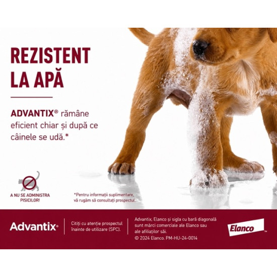 Advantix – Pipetă Repelentă pentru Câini 1,5–4 kg (Deparazitare Externă, Elanco)